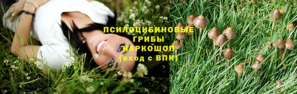MDMA Белокуриха