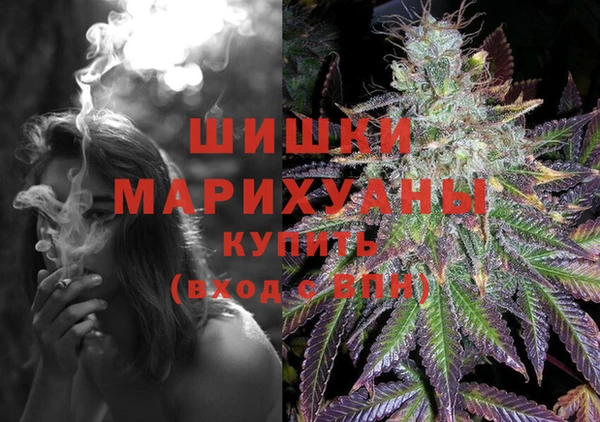 шишки Белоозёрский