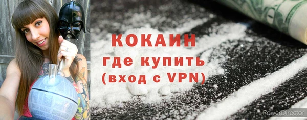 шишки Белоозёрский