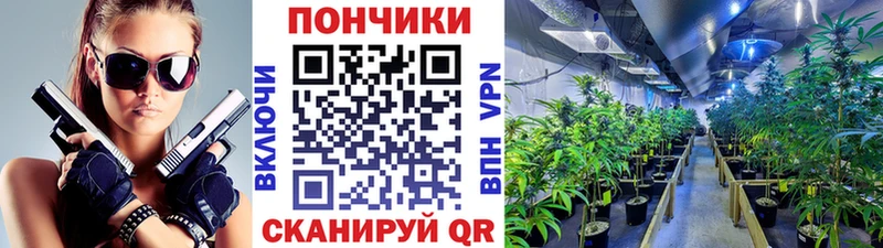 Бошки Шишки индика  Железногорск-Илимский 